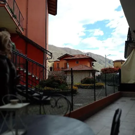 Stella * 오메그나