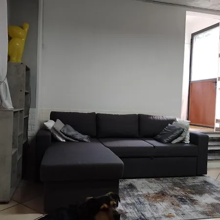 Stella אומניה